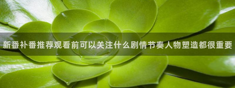 当年香蕉成熟时：新番补番推荐观看前可以关注什么剧情节奏人物塑造都很重要配图