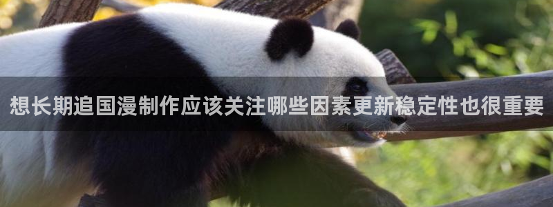 香蕉成熟时app：想长期追国漫制作应该关注哪些因素更新稳定性也很重要配图