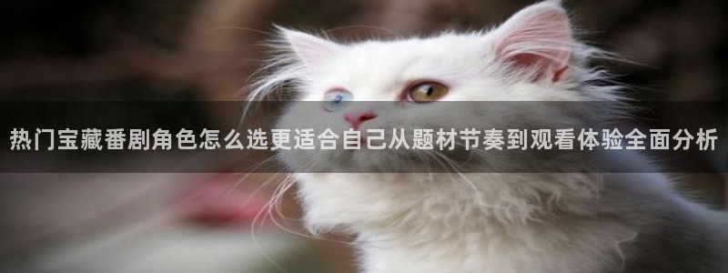 记得香蕉成熟时2迅雷：热门宝藏番剧角色怎么选更适合自己从题材节奏到观看体验全面分析配图