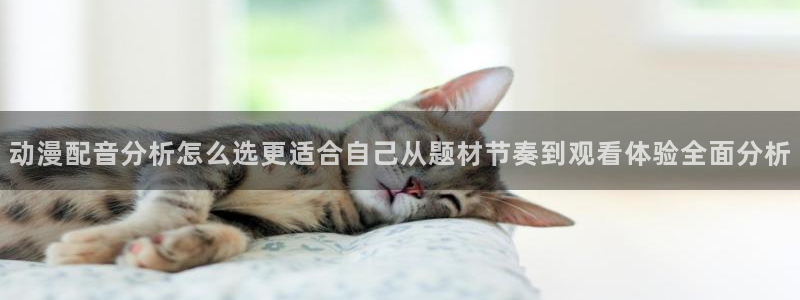 记得香蕉成熟时插曲：动漫配音分析怎么选更适合自己从题材节奏到观看体验全面分析配图