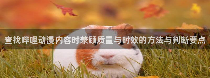 香蕉成熟时2在线看:查找哔哩动漫内容时兼顾质量与时效的方法与判断要点配图