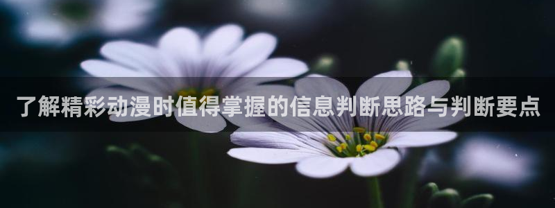 记得香蕉成熟时柏安妮:了解精彩动漫时值得掌握的信息判断思路与判断要点配图