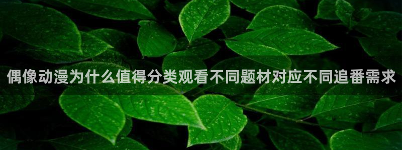 香蕉成熟时豆瓣:偶像动漫为什么值得分类观看不同题材对应不同追番需求配图